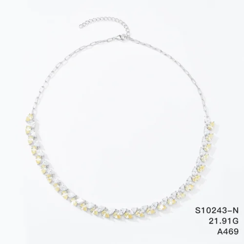 S10243-N