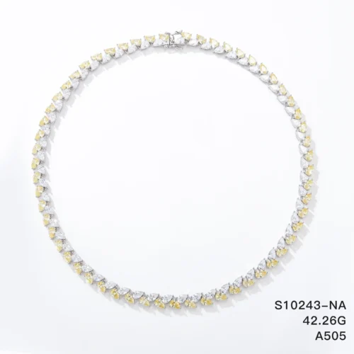 S10243-NA