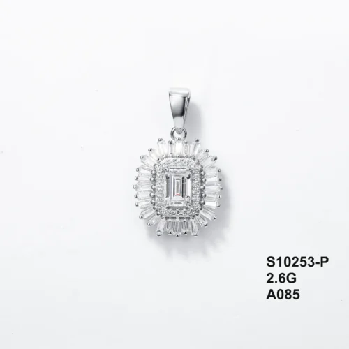 S10253-P