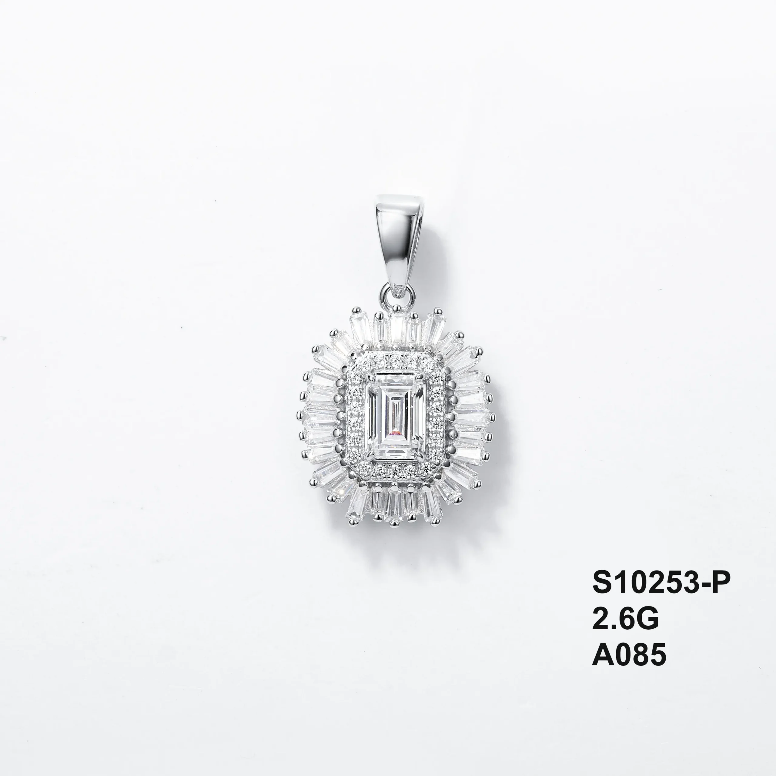 S10253-P
