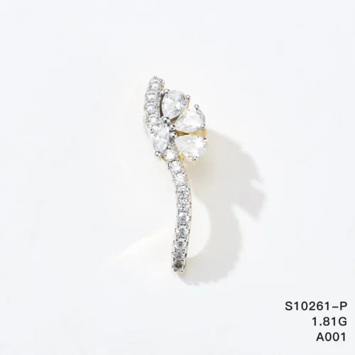 S10261-P