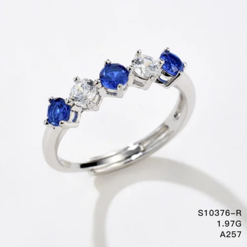 S10376-R