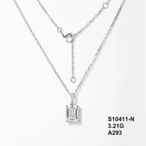 S10411-N