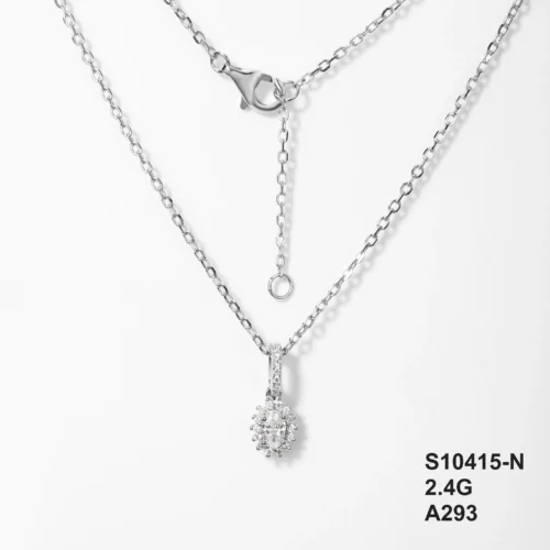 S10415-N