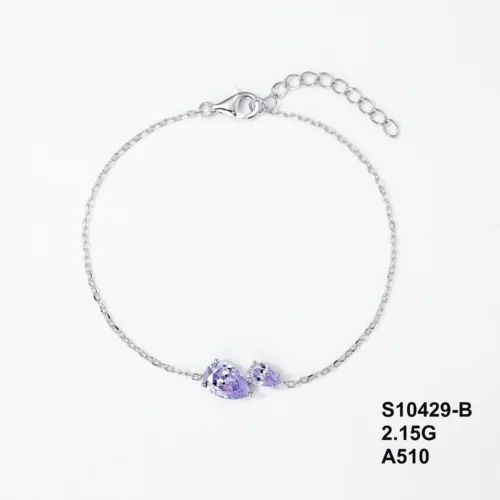 S10429-B