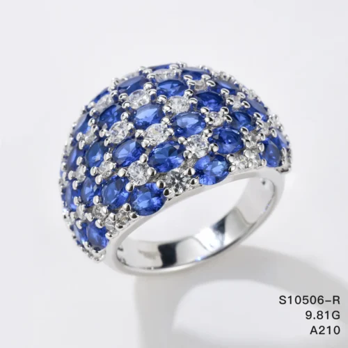 S10506-R