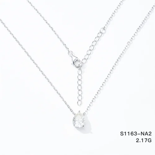 S1163-NA2