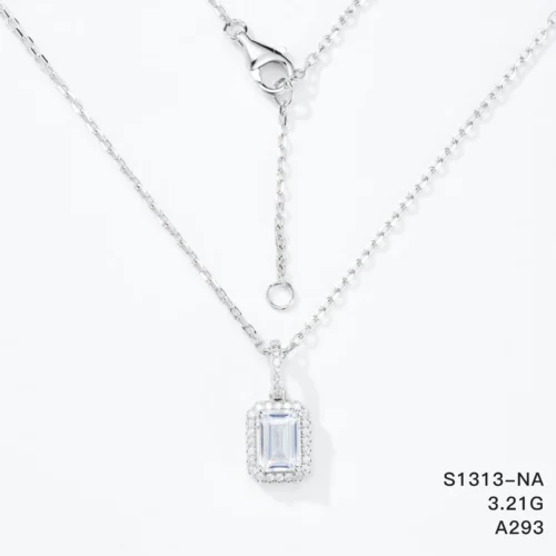 S1313-NA