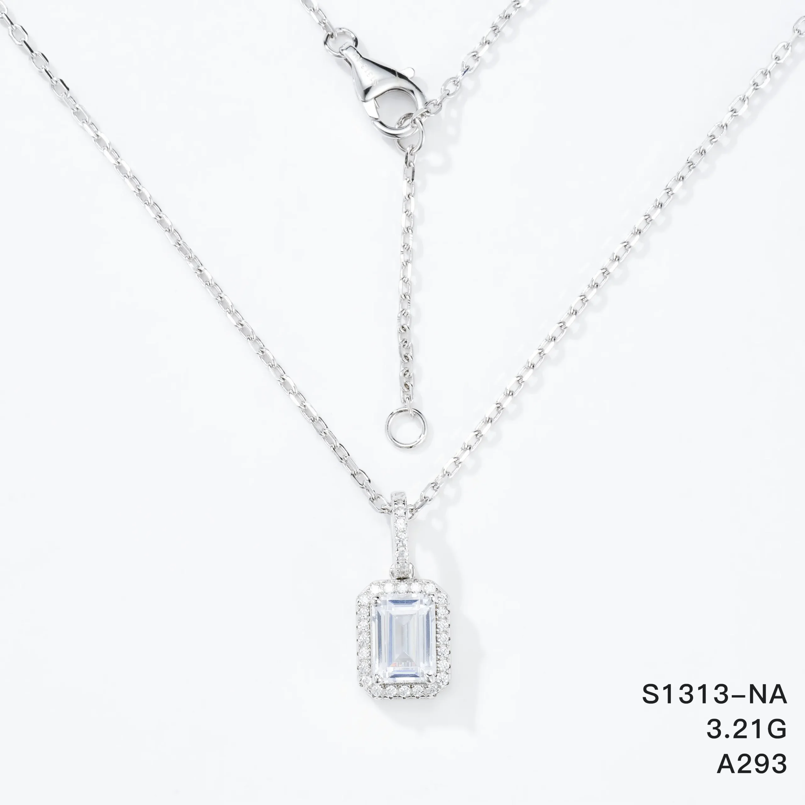 S1313-NA