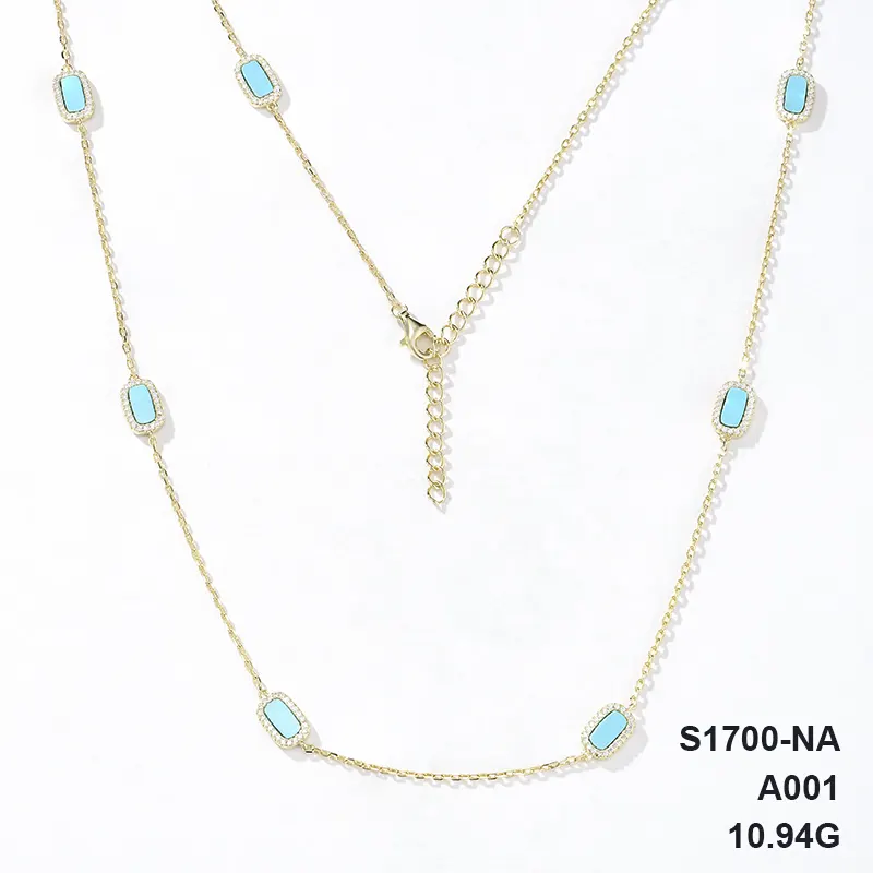 S1700-NA
