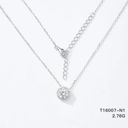 T16007-N1
