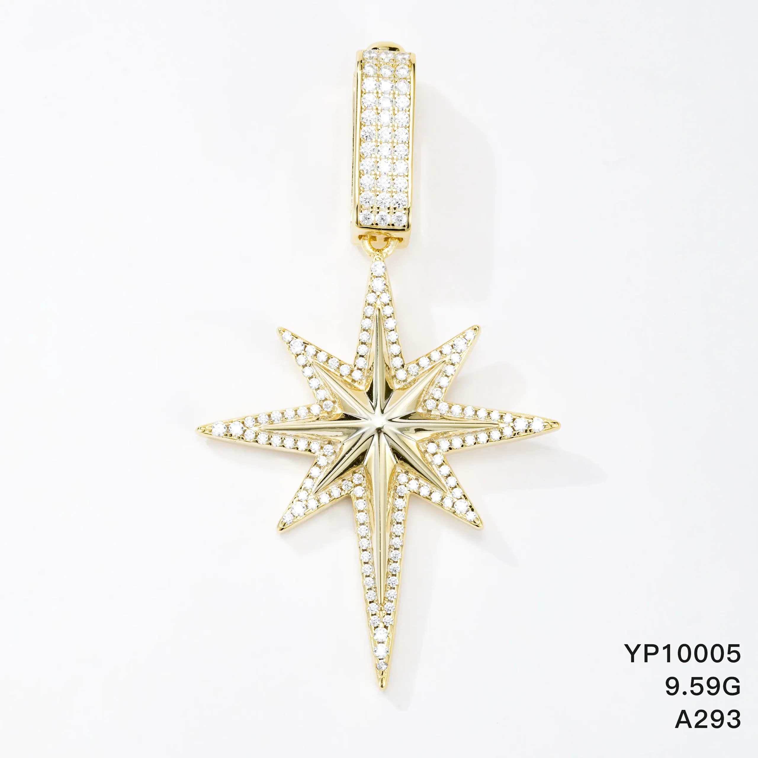 YP10005