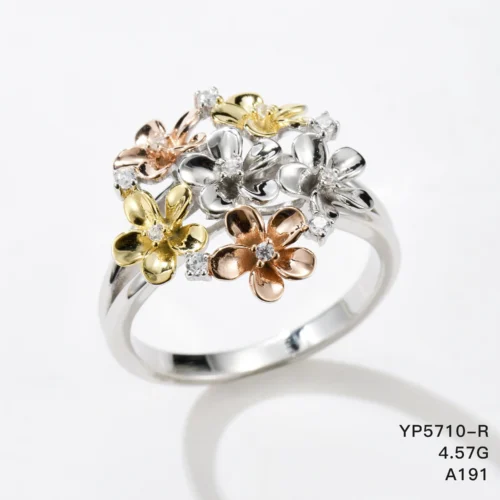 YP5710-R