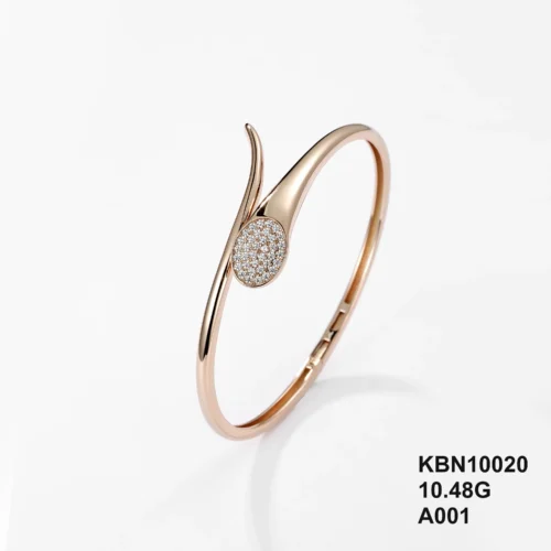 KBN10020