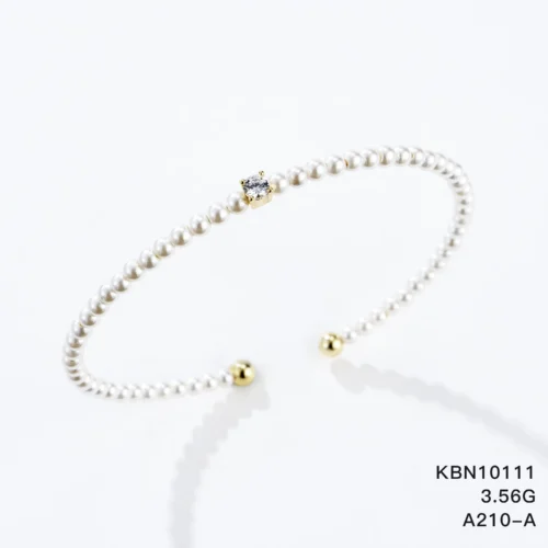 KBN10111