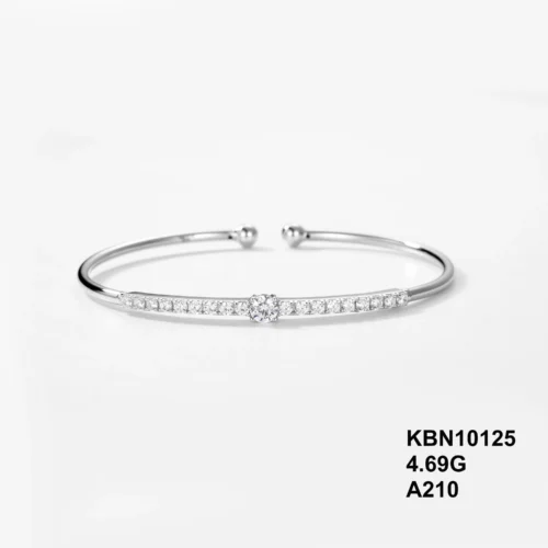 KBN10125
