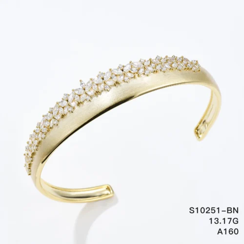 S10251-BN