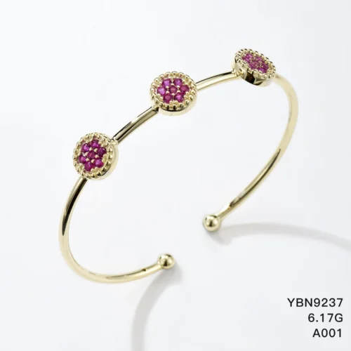 YBN9237